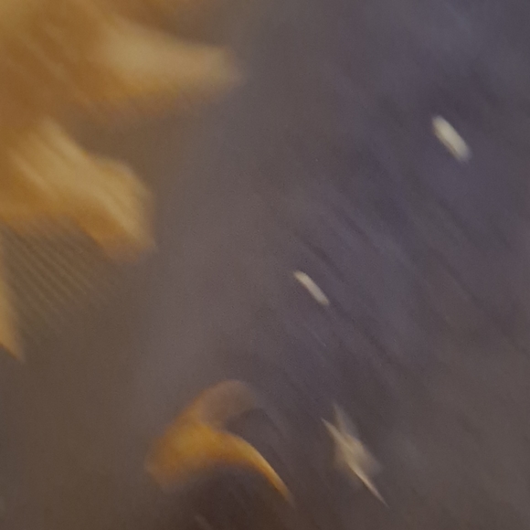 Not - Picture 2 of 2